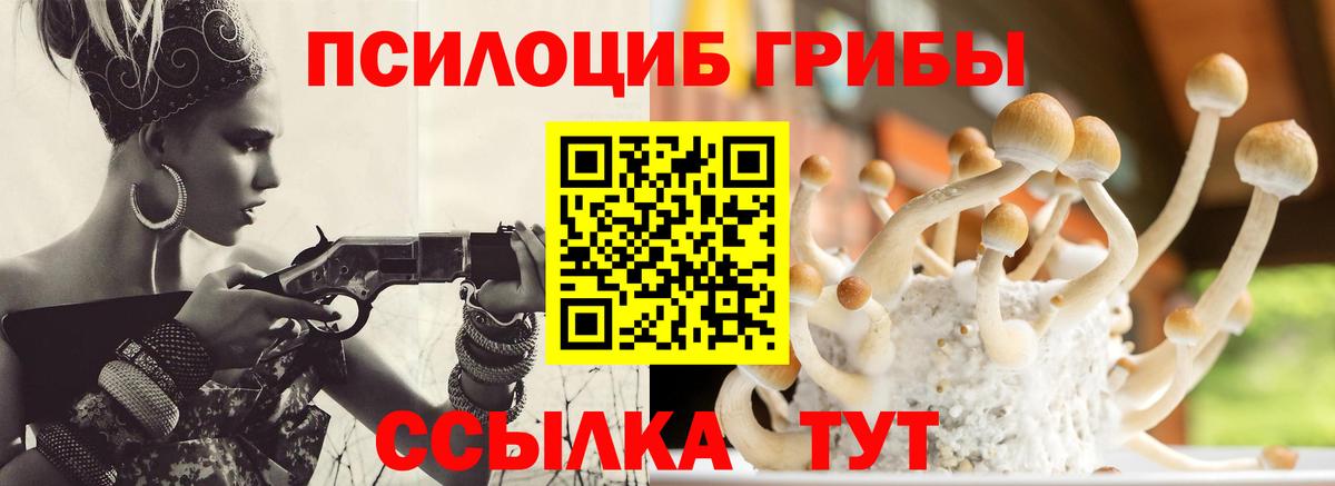Советск  Галлюциногенные грибы прущие грибы  Псилоцибиновые грибы ЛСД  Вход с VPN 