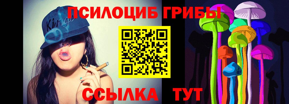 Псилоцибиновые грибы мицелий Советск